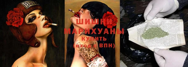 мдпв Богородицк