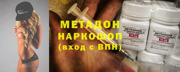 прущие грибы Богданович