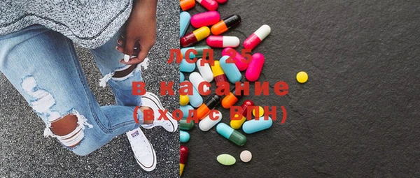 прущие грибы Богданович