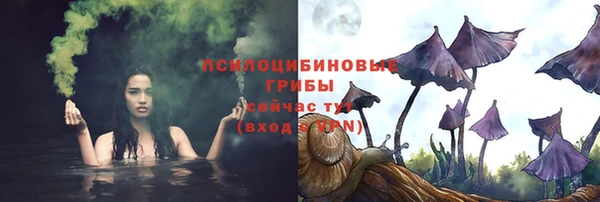 прущие грибы Богданович