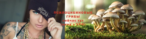 мяу мяу мука Богородск
