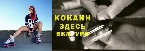 спайс Беломорск