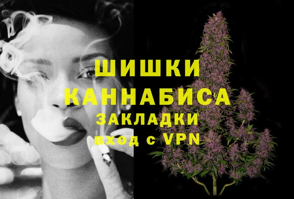 мдпв Богородицк