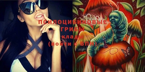 прущий лед Белокуриха