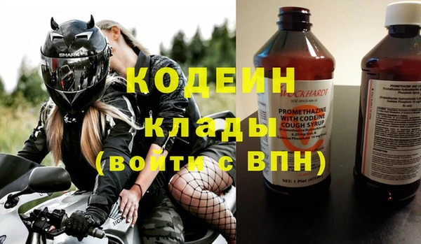 прущие грибы Богданович